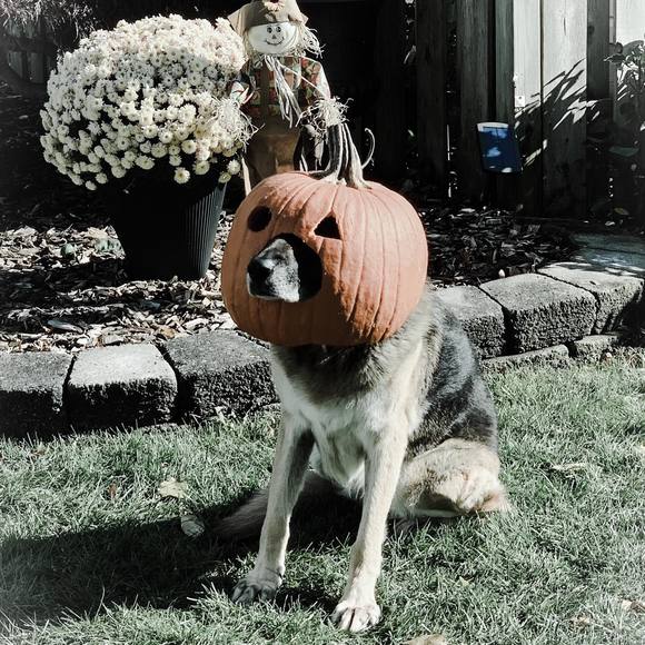 Meet your Posher, Michelle - Picture 1 of 1